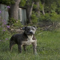 IMG_976500.jpg