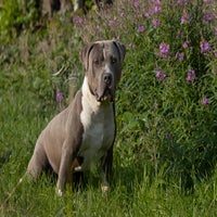IMG_9603.jpg
