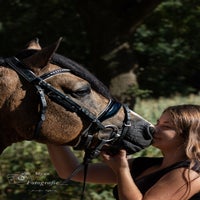 IMG_9484-2-1.jpg