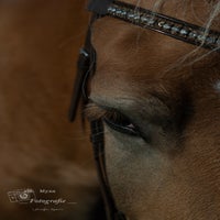 IMG_0438-2-1.jpg