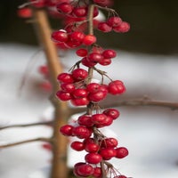 img_5978.jpg