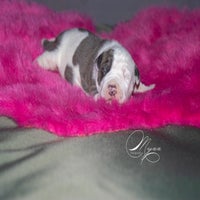 img_0746-1.jpg