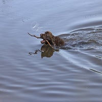 IMG_03281.jpg