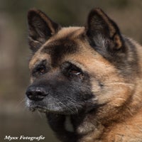 IMG_39901-1.jpg