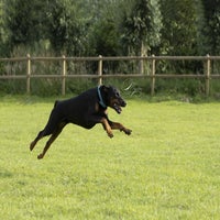 IMG_9545001626346085560.jpg