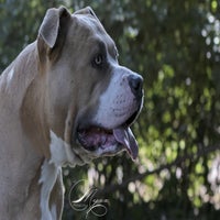 IMG_078221626902445322.jpg