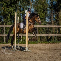IMG_9867.jpg