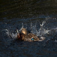 img_8662.jpg