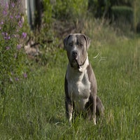 IMG_958100.jpg