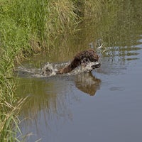 IMG_03241.jpg