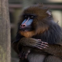 img_5830.jpg