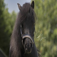IMG_0596.jpg