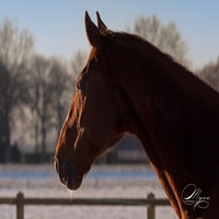 IMG_6398.jpg