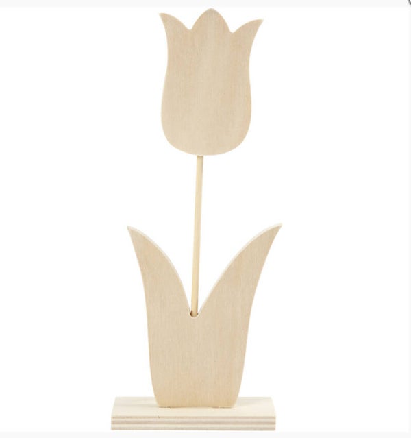 HOUTEN TULP