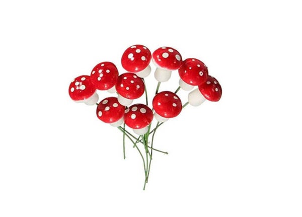 PADDENSTOELEN (10 stuks)