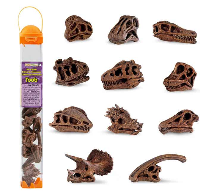 KOKER MET DINO SKELETTEN