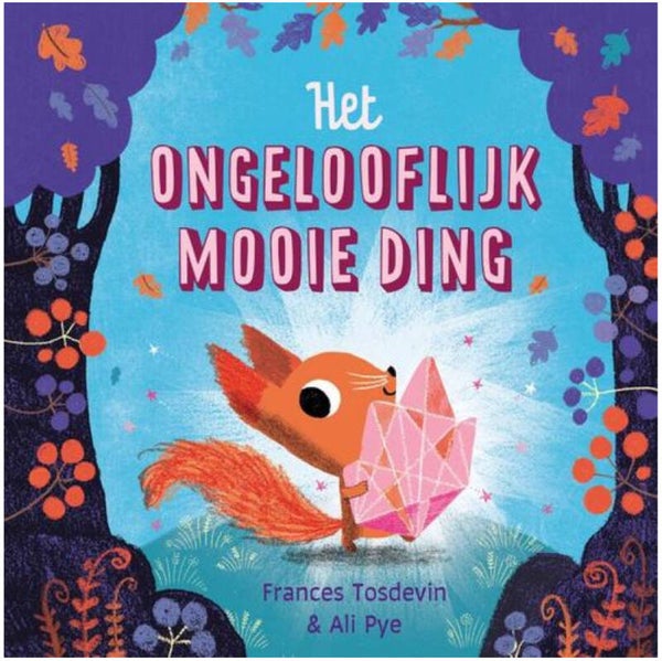 HET ONGELOOFLIJK MOOIE DING (prentenboek)