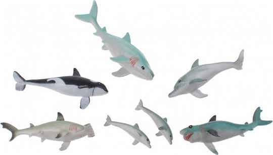 OCEAAN DIEREN  “ Animal world