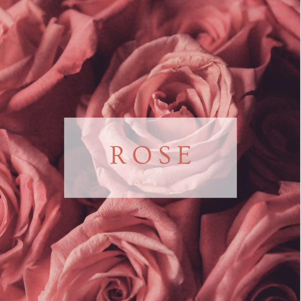 Fondants parfumés Rose