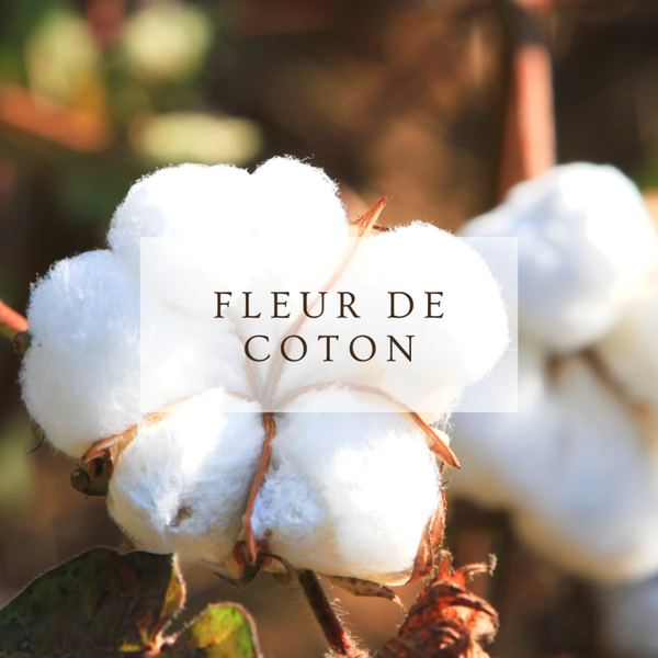 Fondants parfumés Fleur de coton