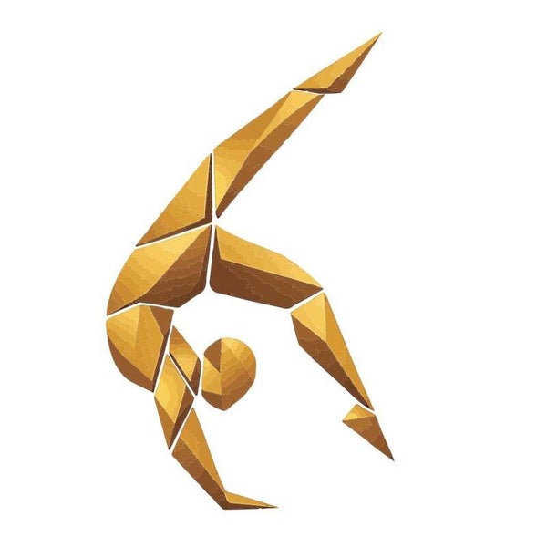 On-Site Acrobatics Coaching Day