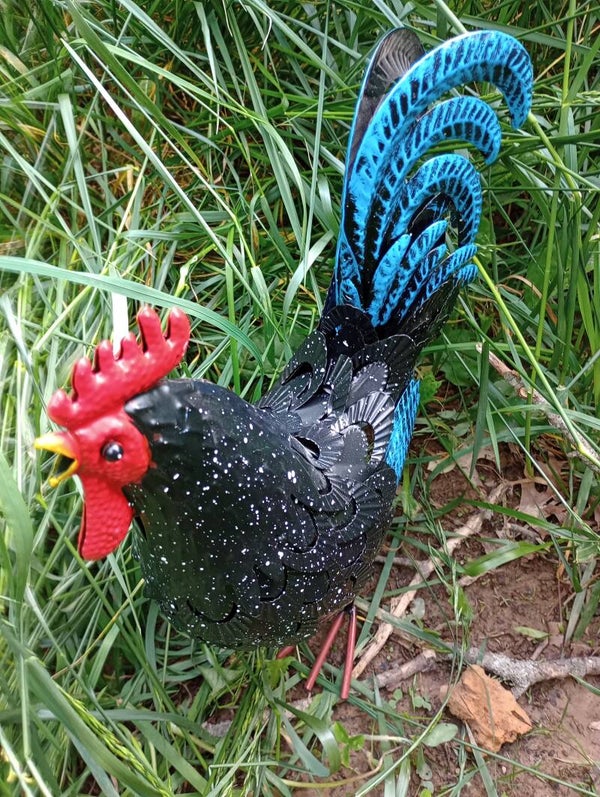 Wordoff Rooster