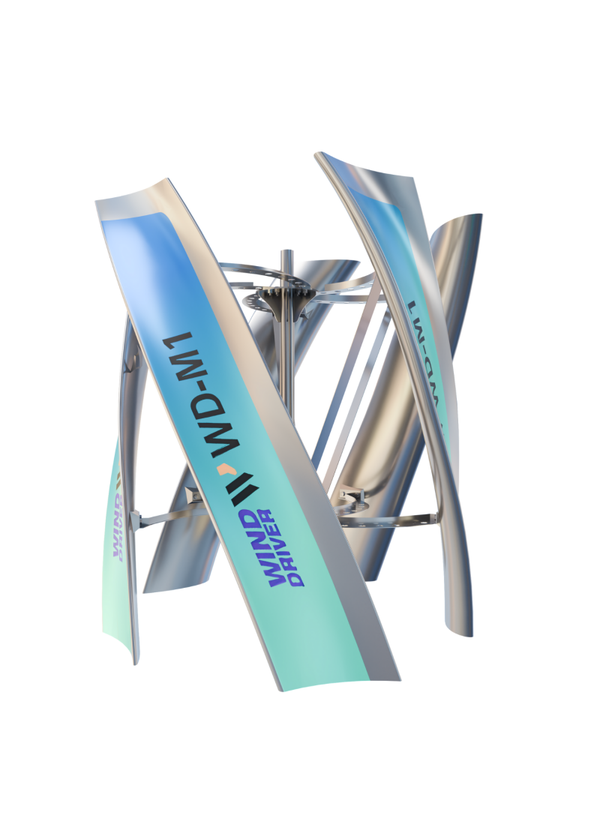 1 Kw WD-M1 Winddriver