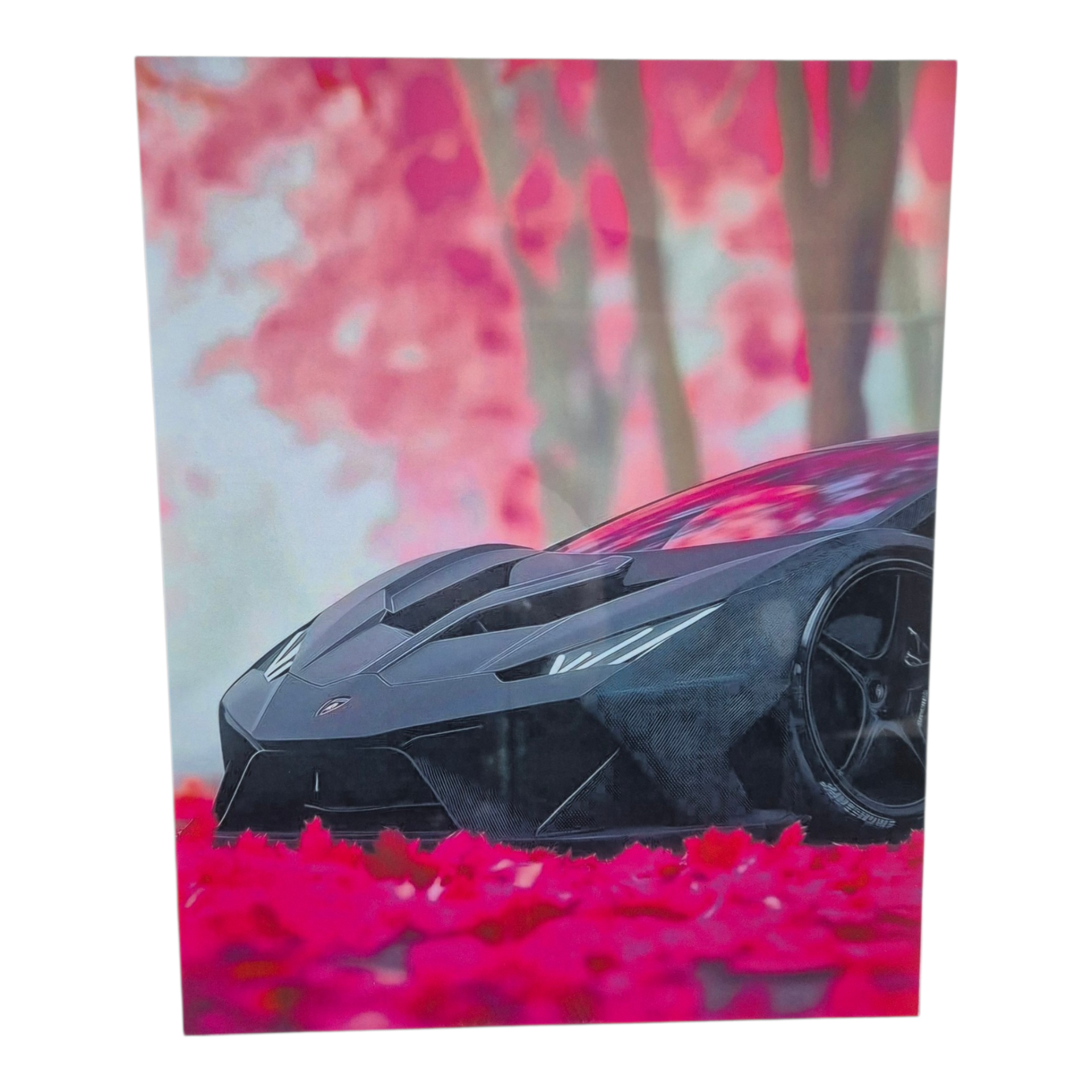 Aluplatte Schwarzer Lamborghini