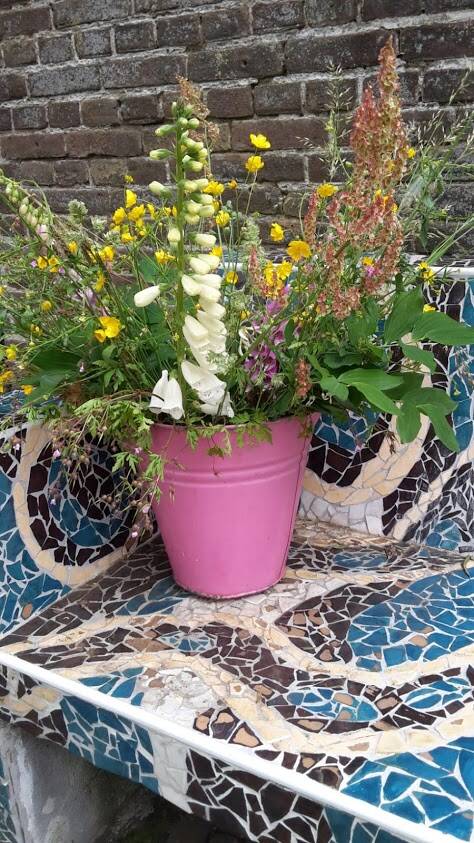 De horsthoeve 25 juni 2019