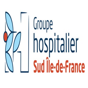 logo-gh-sif-standard-v4ykmf.jpg