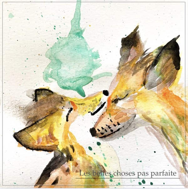 Livre Tome 1 « Les belles choses pas parfaite »