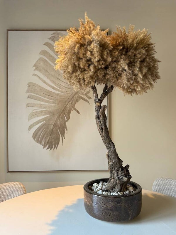 Bonsai Pampasboom – Handgemaakt – 96 cm – Inclusief Pot