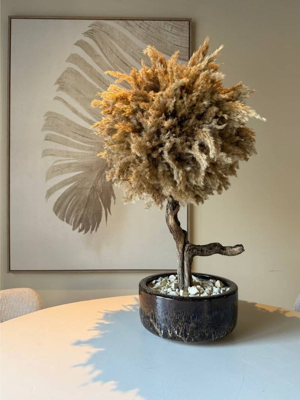 Bonsai Pampasboom - Handgemaakt- 82cm - Inclusief Pot
