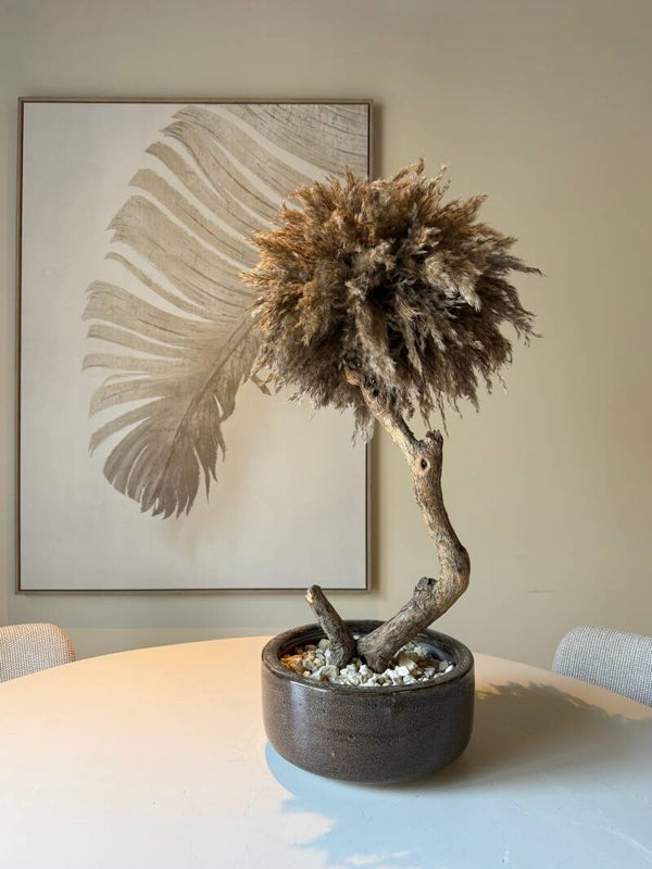 Bonsai Pampasboom - Handgemaakt - 87cm