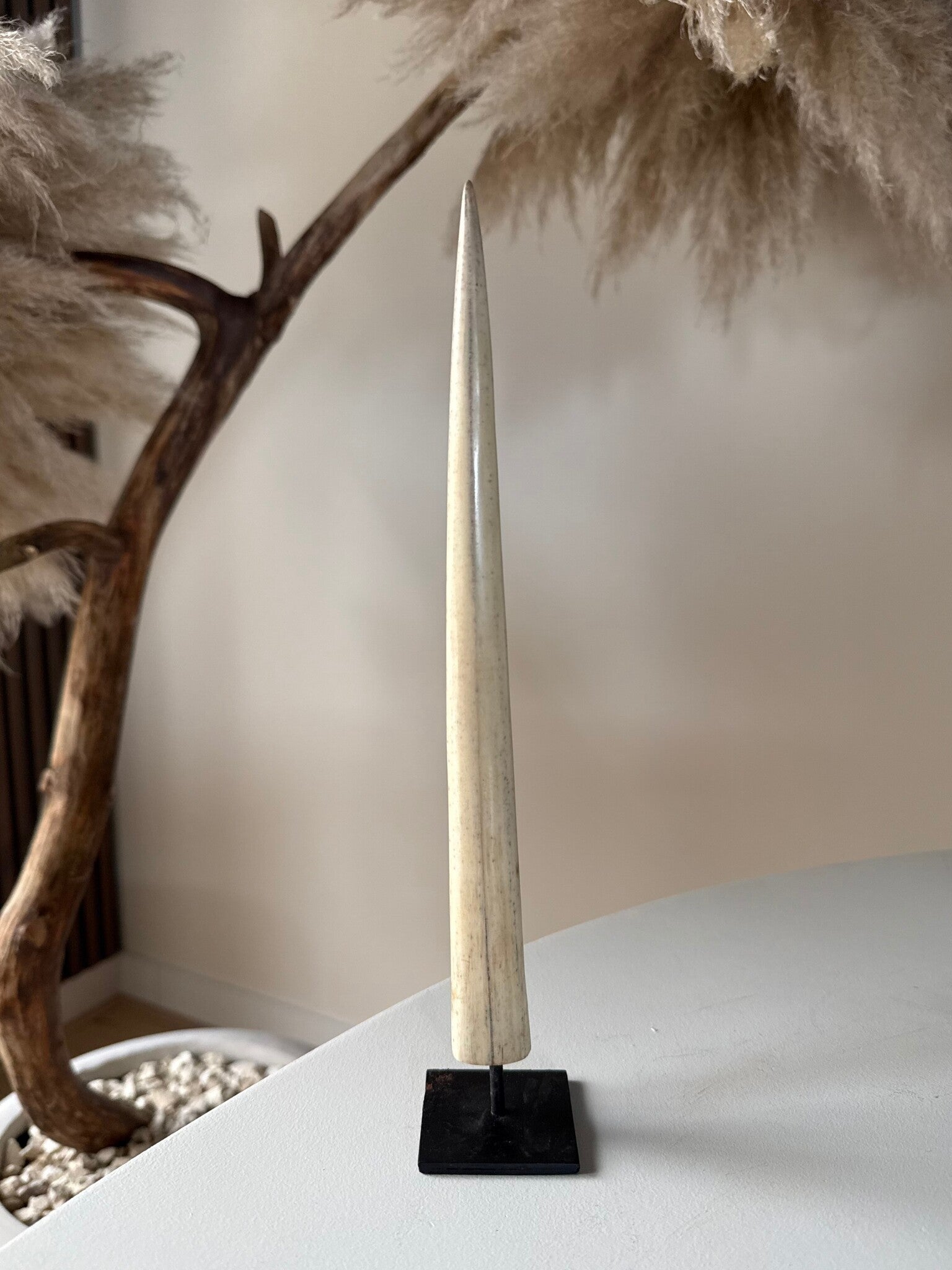 Marlin Neus op Standaard – Natuurlijke Decoratie