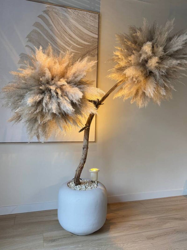 Pampasboom XL – Luxe Pampas Decoratie voor een Stijlvol Interieur