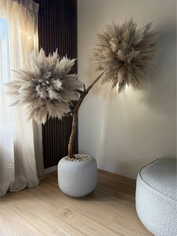 Pampasboom XL – Luxe Pampas Decoratie voor een Stijlvol Interieur