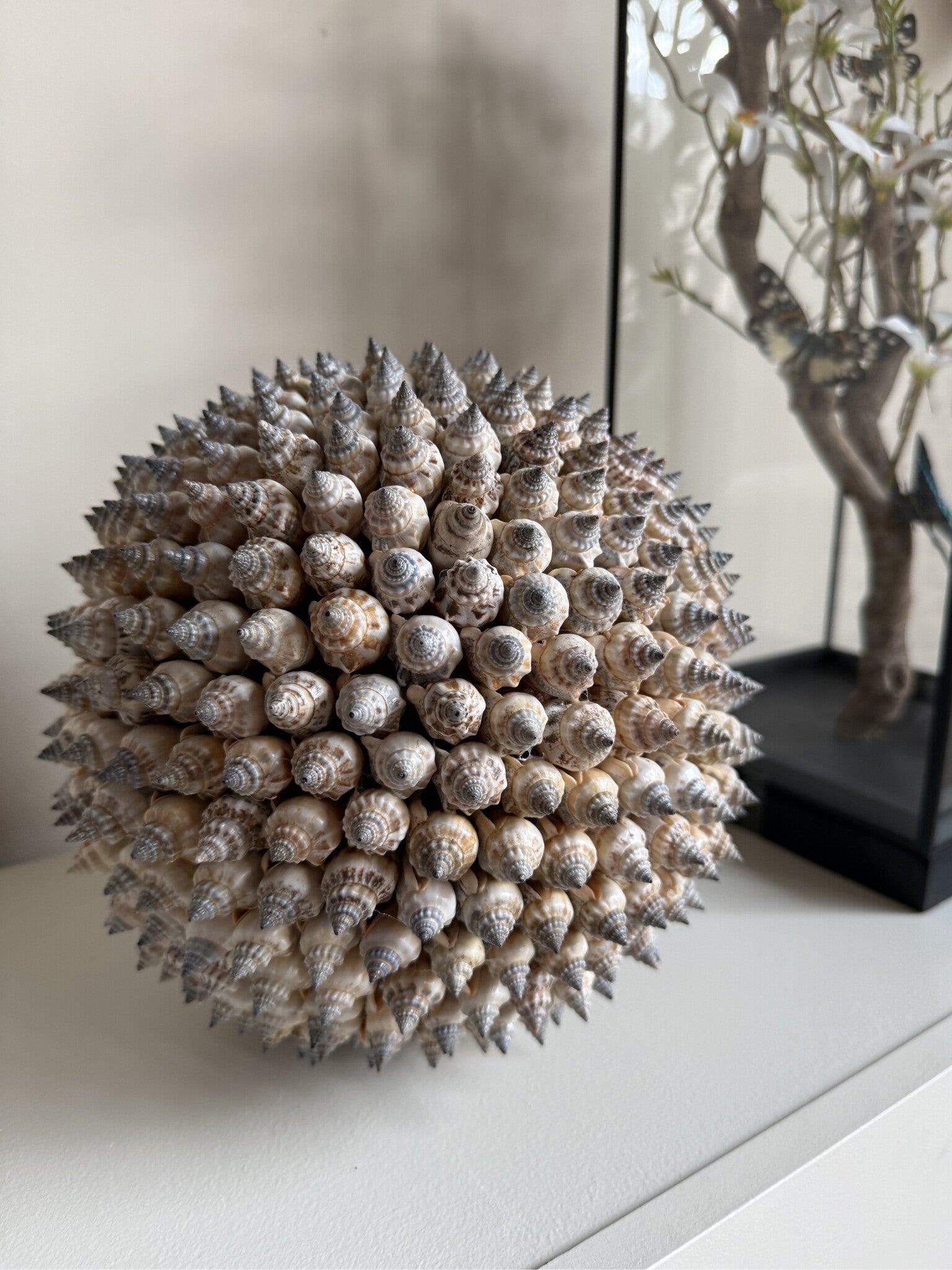 Schelpendeco Bal “Strombus” XL – Handgemaakt Ornament van Schelpen (20 cm)