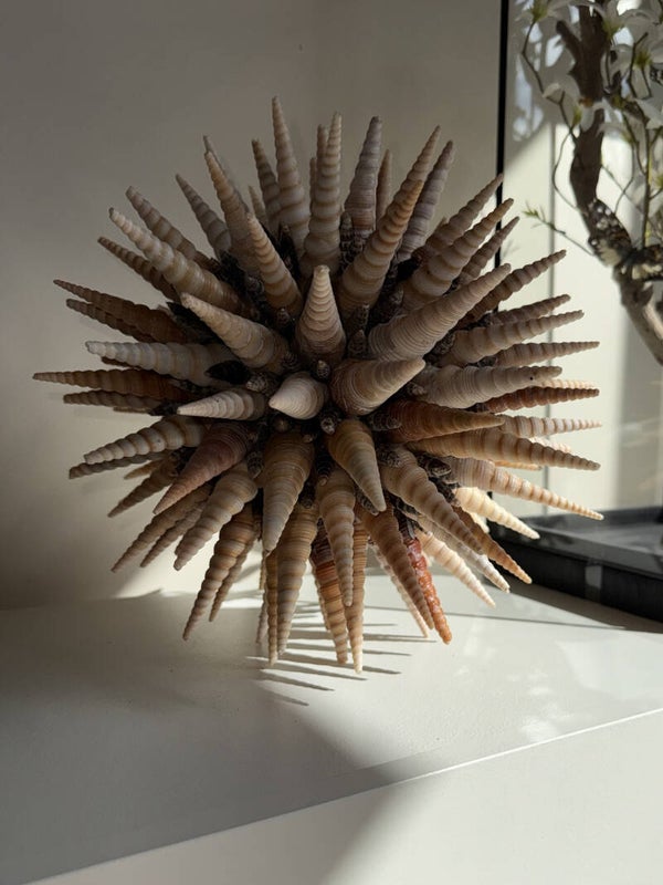 Schelpendeco Bal “ Tereba” XL – Handgemaakt Ornament van Schelpen (25 cm)