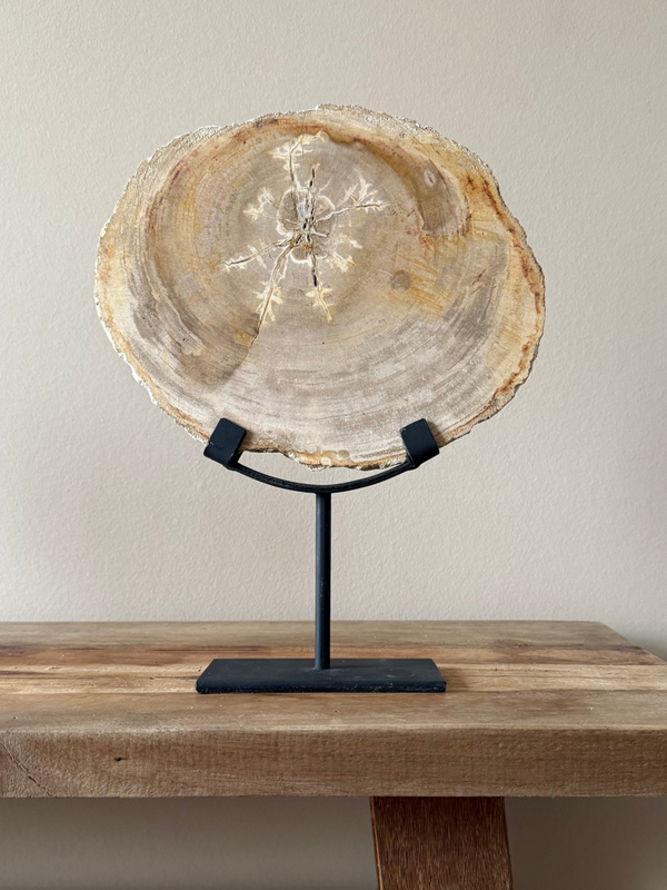 Versteend hout op standaard Beige - Unieke Woondecoratie