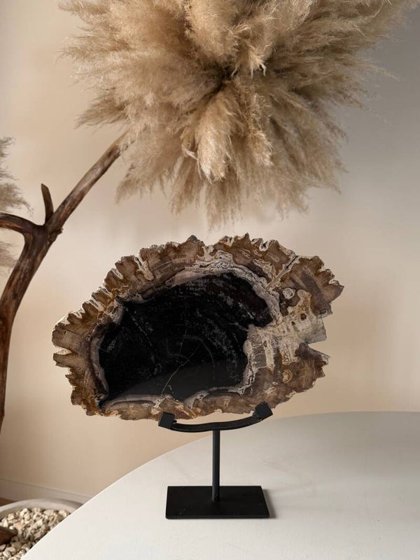 Versteend hout op standaard XL - unieke woondecoratie