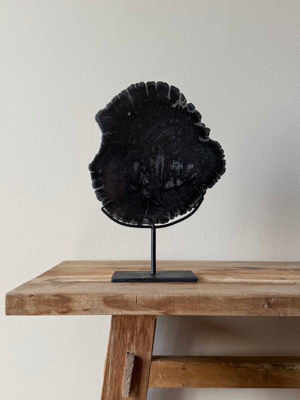 Versteend hout op standaard– Authentieke - Natuurlijke Decoratie voor een Tijdloos Interieur