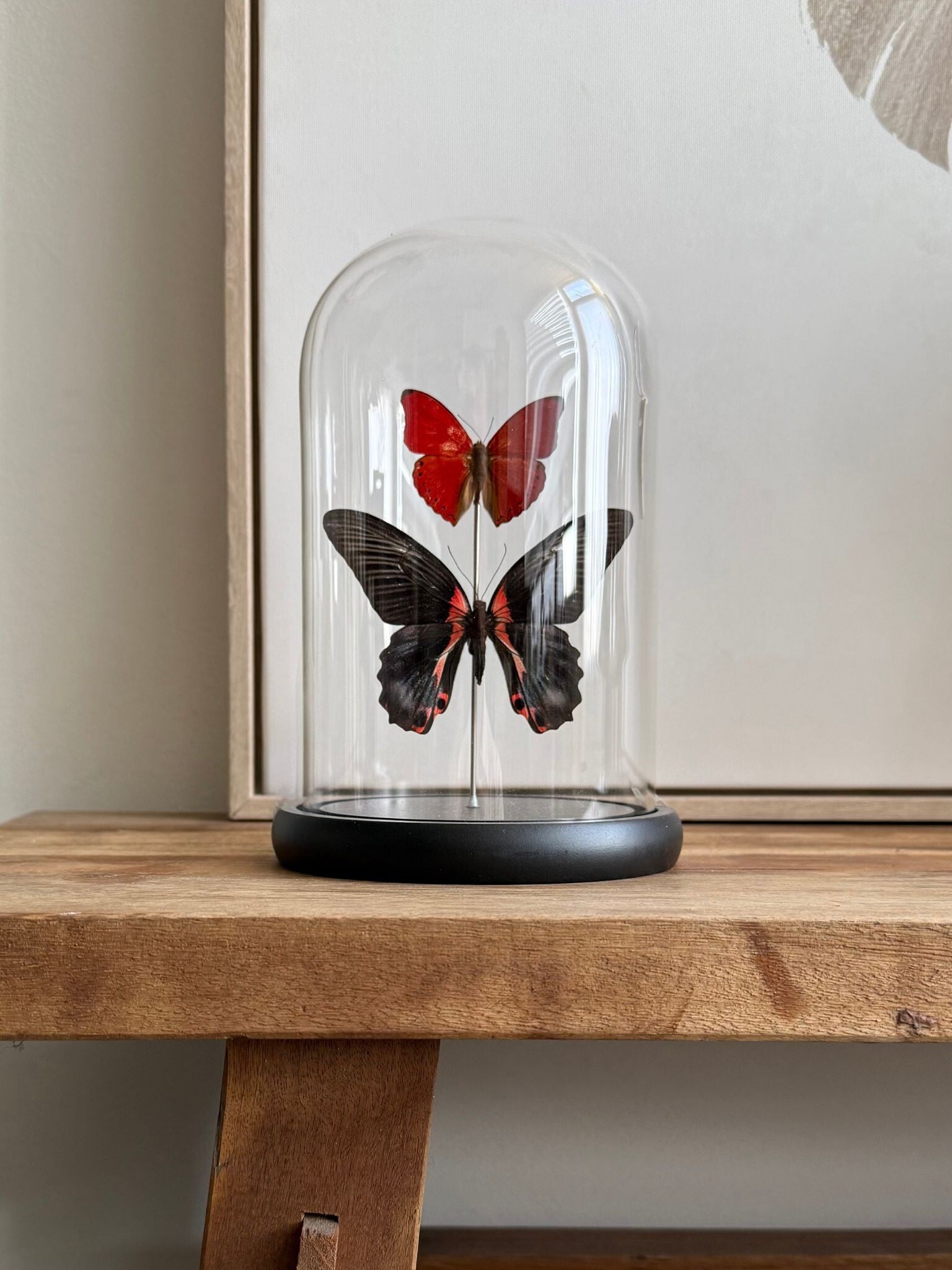 Duo Vlinderstolp Rood-Zwart – Handgemaakt – 14x14x22 cm