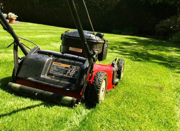 Grass cutting