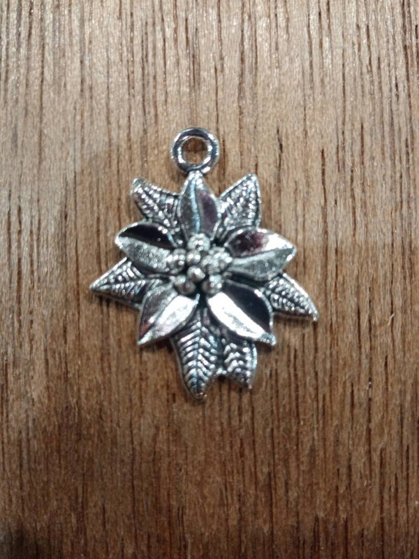 Fleur de noël