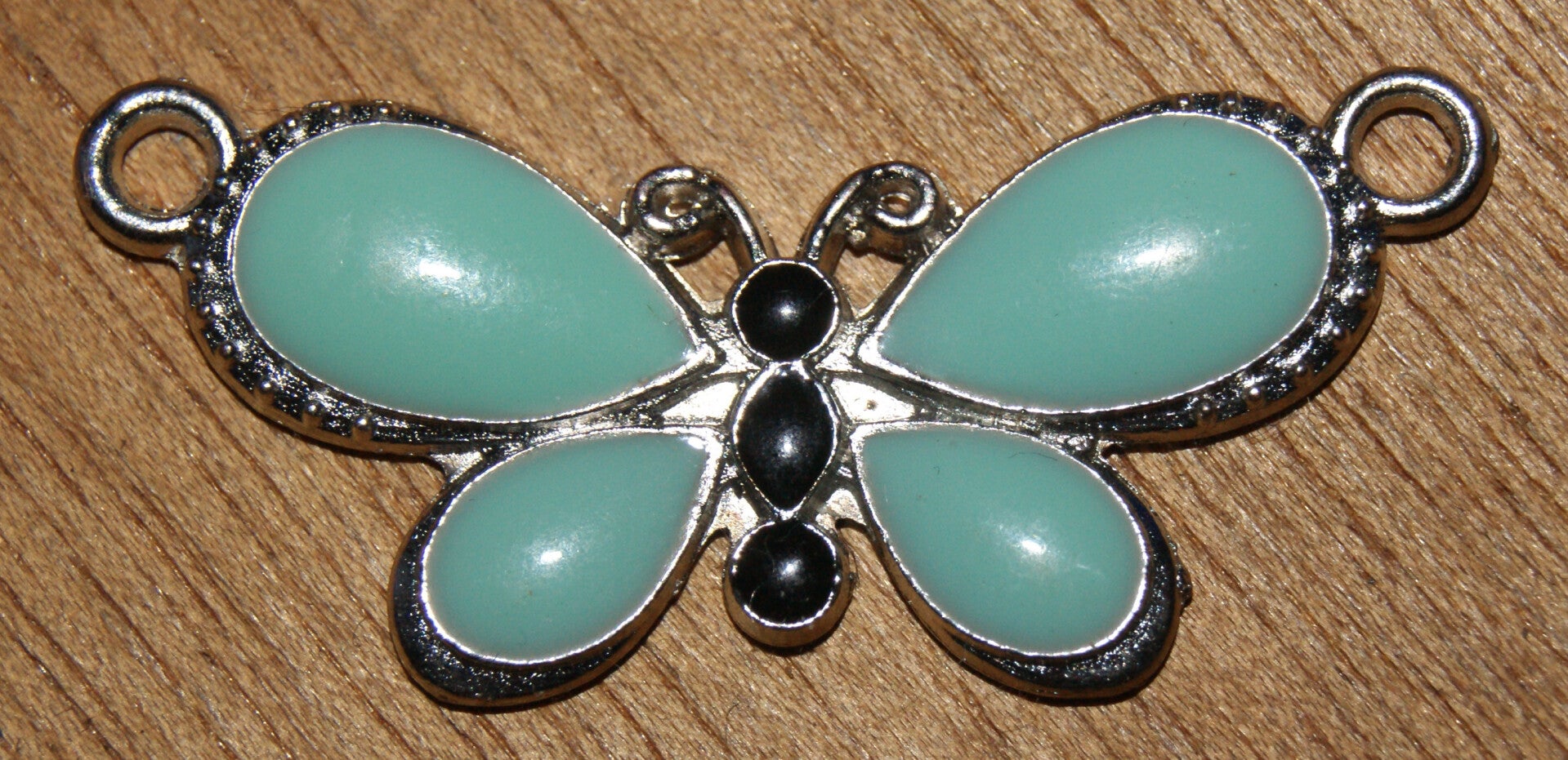 papillon  email multicolor