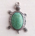 tortue turquoise