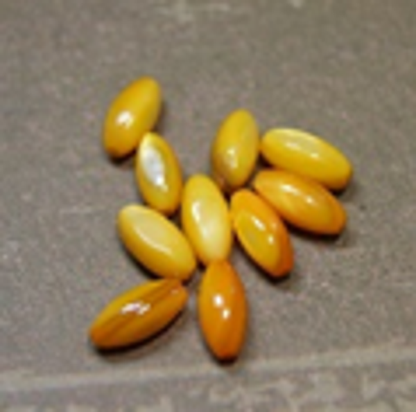 perle nacre goutte JAUNE 10x5