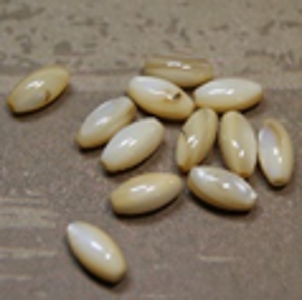 perle nacre goutte BEIGE 10x5