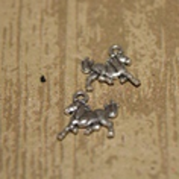 cheval 2 19x15